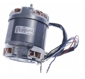 Hood Motors - S48 005 00 He 4055383915 Motor [Electrolux Aeg]
